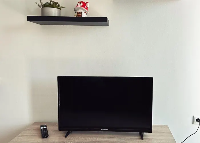 Apartament Homely Flat Near Airport